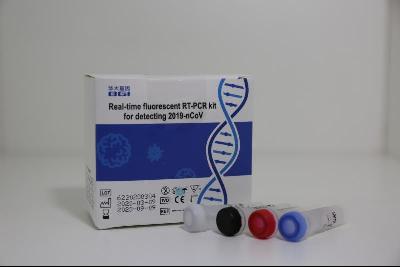 Real-time Fluorescent RT-PCR Kit for Detecting 2019-nCov anti Coronavirus