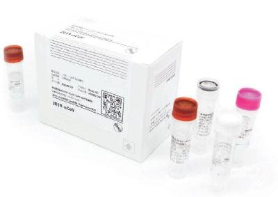 Covid-19 (Fluorescence PCR) Test Kit Anti Coronavirus