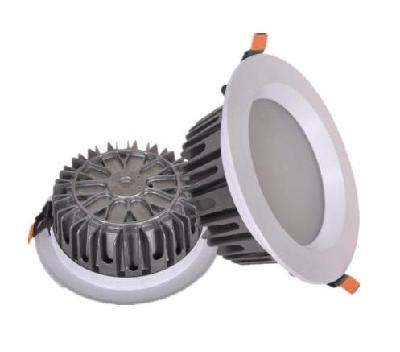 LED Down Light