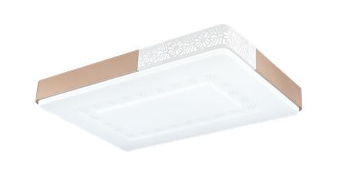 Ceiling light