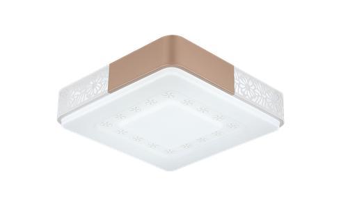 Ceiling light
