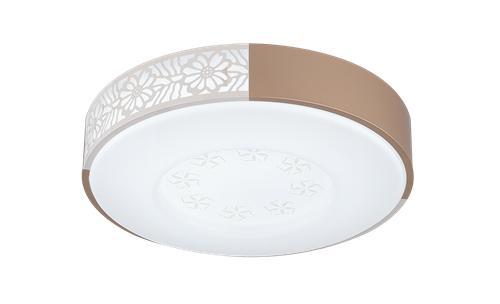 Ceiling light