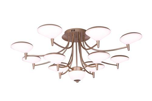 Ceiling light