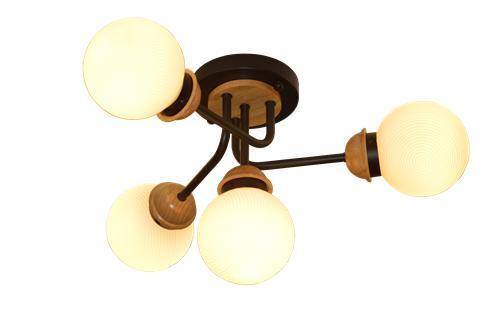 Ceiling light