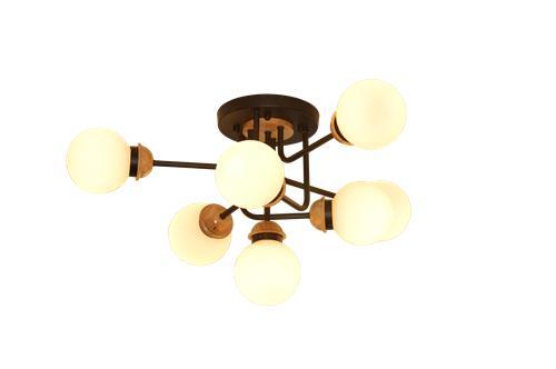 Ceiling light