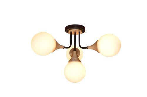 Ceiling light