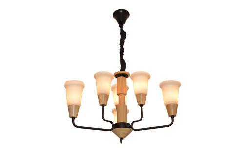 Pendant light