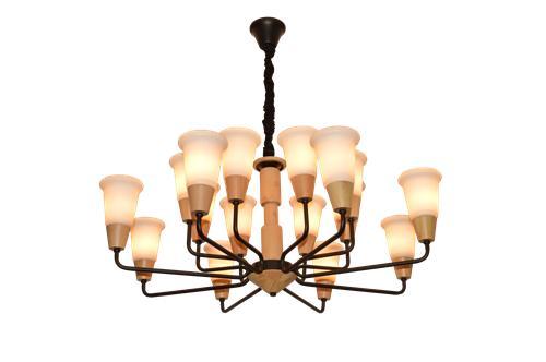 Pendant light