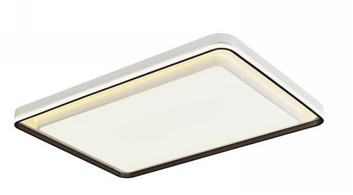 Ceiling light