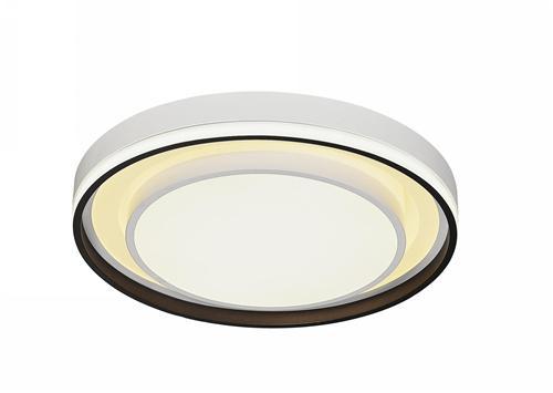 Ceiling light