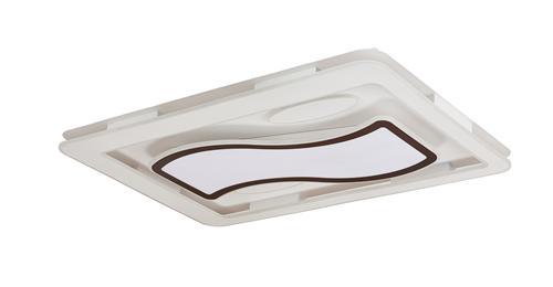 Ceiling light