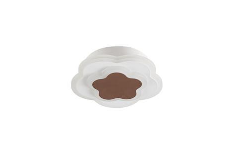 Ceiling light