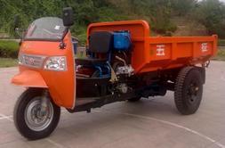 three wheel vehicle