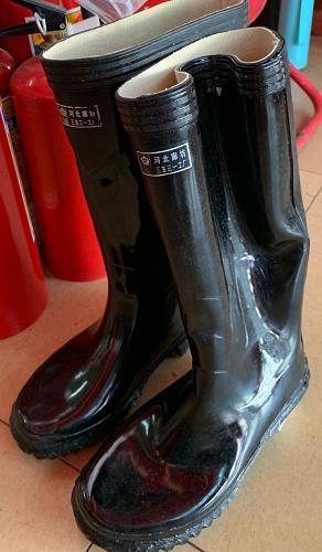 Rainboot
