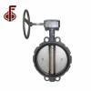 Water OEM Factory Cast Iron Di Ci Wcb SS304 Lever Worm Gear Electrical Actuator 4 6 8 Inch EPDM PTFE