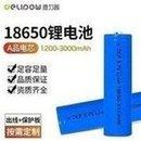 Delip 18650 Lithium Battery 3000mah High Capacity Outgoing Line Plus Board Beauty Massage Instrument