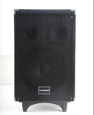 TAGWOOD Speaker LTS-10A