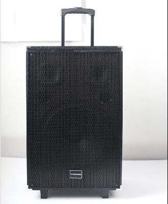 TAGWOOD Speaker LTS-15A