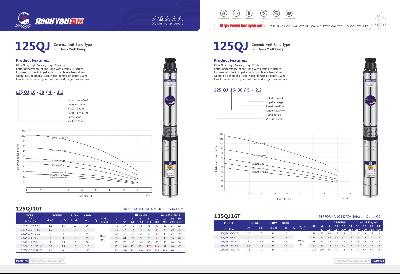 125QJ Ceremic Anti-Sand Type S.S Deep Well Pump
