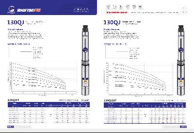 130QJ Ceremic Anti-Sand Type S.S Deep Well Pump