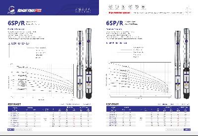 6SP/R Stainless Steel Deep Well Pump