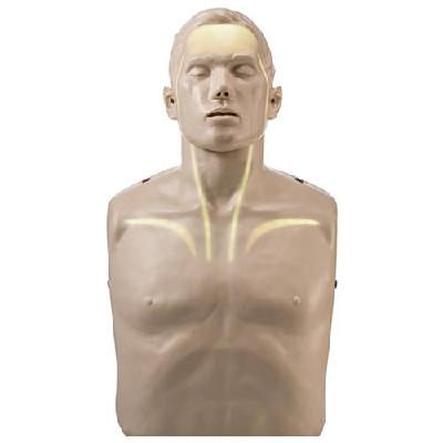 Manikin