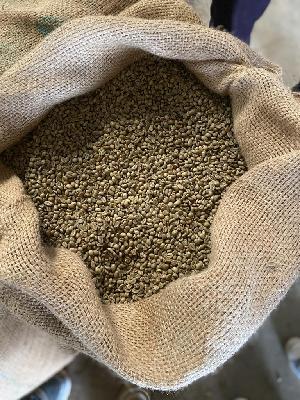 Green Coffee Bean